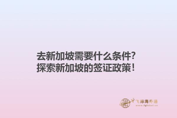 去新加坡需要什么条件？探索新加坡的签证政策！