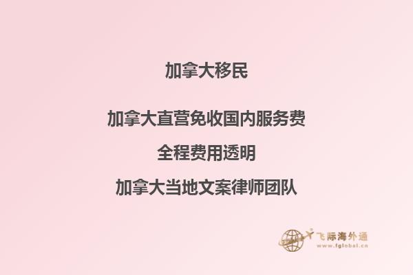 你想知道加拿大当地移民公司的相关信息吗？