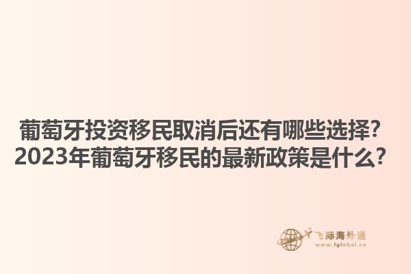葡萄牙投资移民取消后还有哪些选择？2023年葡萄牙移民的最新政策是什么？1.jpg