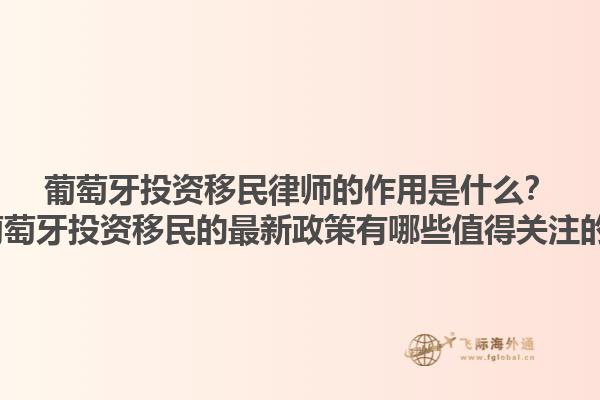 葡萄牙投资移民律师的作用是什么？2025葡萄牙投资移民的最新政策有哪些值得关注的地方？1.jpg
