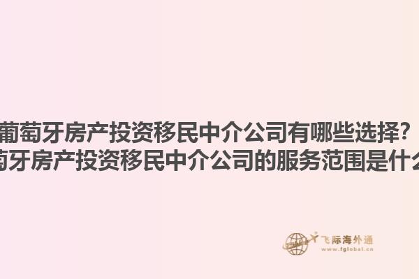 葡萄牙房产投资移民中介公司有哪些选择？葡萄牙房产投资移民中介公司的服务范围是什么？1.jpg