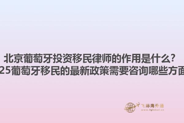 北京葡萄牙投资移民律师的作用是什么？2025葡萄牙移民的最新政策需要咨询哪些方面？1.jpg