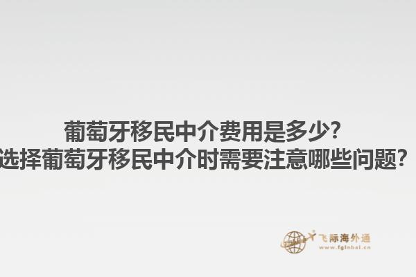 葡萄牙移民中介费用是多少？选择葡萄牙移民中介时需要注意哪些问题？1.jpg