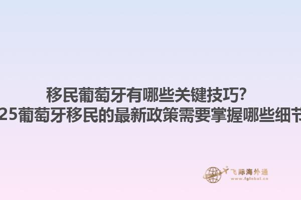 移民葡萄牙有哪些关键技巧？2025葡萄牙移民的最新政策需要掌握哪些细节？