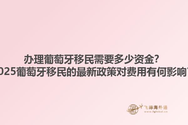 办理葡萄牙移民需要多少资金？2025葡萄牙移民的最新政策对费用有何影响？