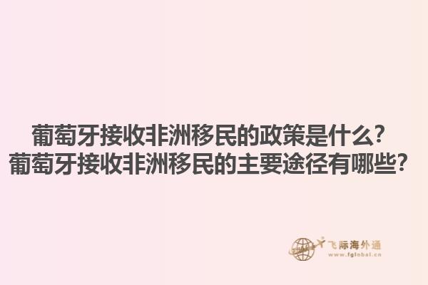葡萄牙接收非洲移民的政策是什么？葡萄牙接收非洲移民的主要途径有哪些？