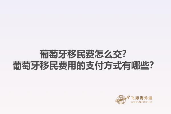 葡萄牙移民费怎么交？葡萄牙移民费用的支付方式有哪些？1.jpg