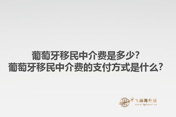 葡萄牙移民中介费是多少？葡萄牙移民中介费的支付方式是什么？1.jpg