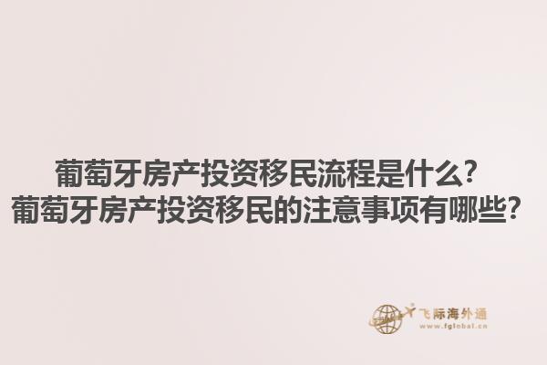 葡萄牙房产投资移民流程是什么？葡萄牙房产投资移民的注意事项有哪些？1.jpg