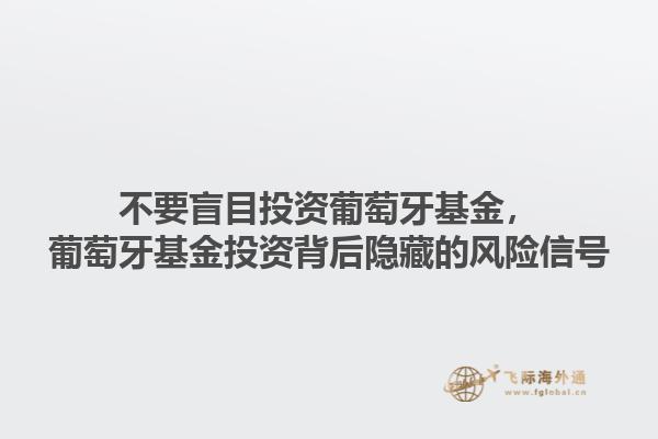 不要盲目投资葡萄牙基金，葡萄牙基金投资背后隐藏的风险信号1.jpg
