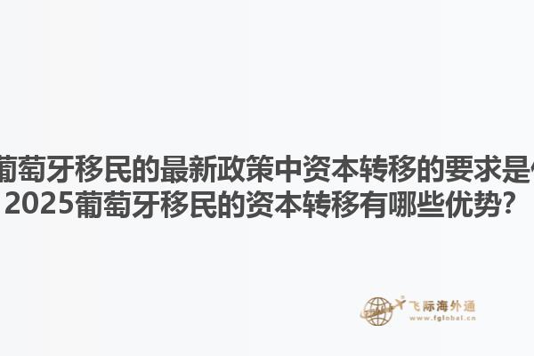 2025葡萄牙移民的最新政策中资本转移的要求是什么？2025葡萄牙移民的资本转移有哪些优势？1.jpg