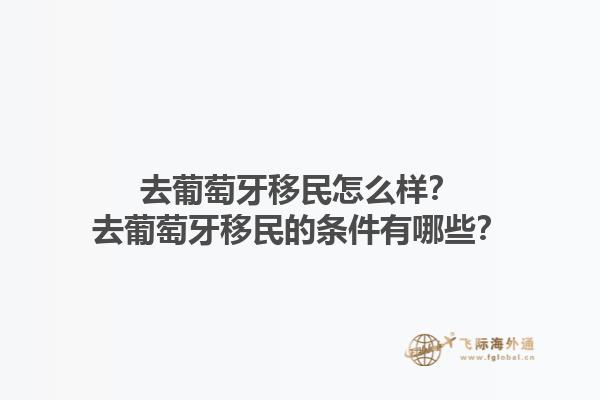 去葡萄牙移民怎么样？去葡萄牙移民的条件有哪些？1.jpg