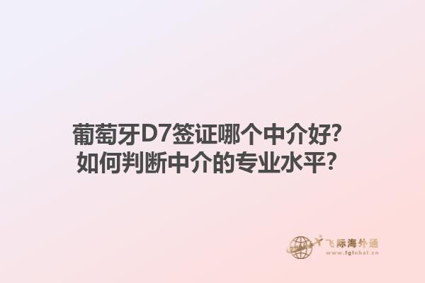 葡萄牙D7签证哪个中介好？如何判断中介的专业水平？1.jpg
