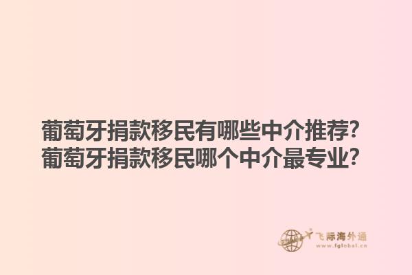 葡萄牙捐款移民有哪些中介推荐？葡萄牙捐款移民哪个中介最专业？1.jpg