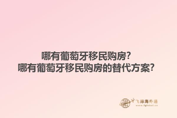 哪有葡萄牙移民购房？哪有葡萄牙移民购房的替代方案？1.jpg
