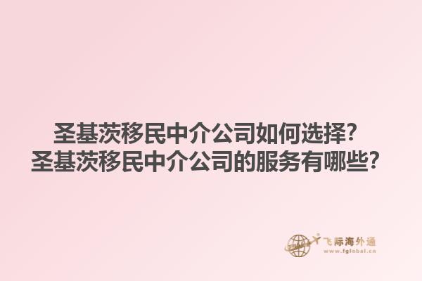 圣基茨移民中介公司如何选择？圣基茨移民中介公司的服务有哪些？1.jpg