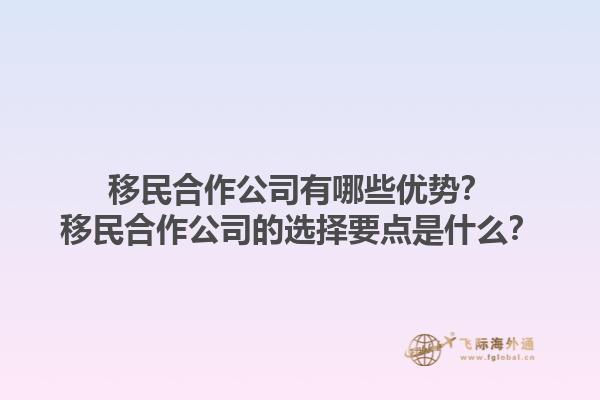 移民合作公司有哪些优势？移民合作公司的选择要点是什么？