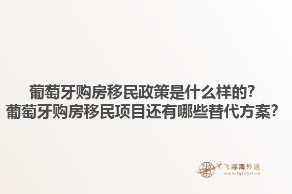 葡萄牙购房移民政策是什么样的？葡萄牙购房移民项目还有哪些替代方案？1.jpg