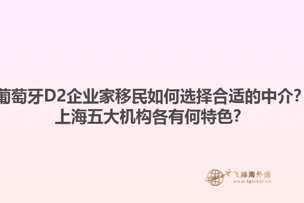 葡萄牙D2企业家移民如何选择合适的中介？上海五大机构各有何特色？1.jpg