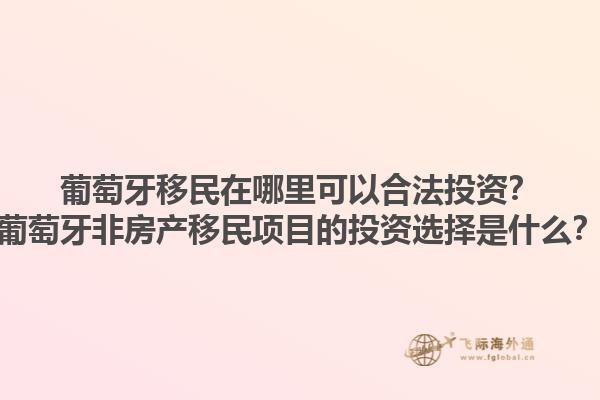 葡萄牙移民在哪里可以合法投资？葡萄牙非房产移民项目的投资选择是什么？1.jpg