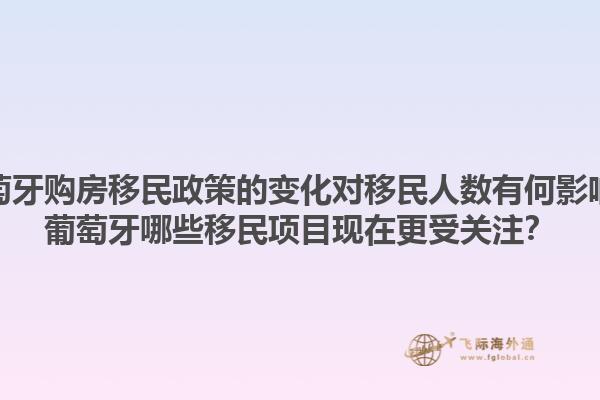 葡萄牙购房移民政策的变化对移民人数有何影响？葡萄牙哪些移民项目现在更受关注？1.jpg
