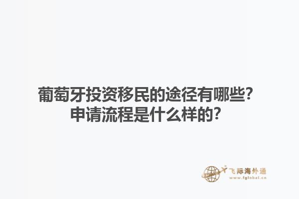 葡萄牙投资移民的途径有哪些？申请流程是什么样的？1.jpg