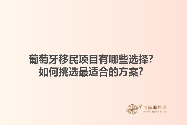 葡萄牙移民项目有哪些选择？如何挑选最适合的方案？1.jpg
