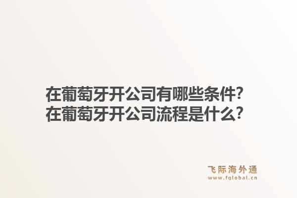 在葡萄牙开公司有哪些条件？在葡萄牙开公司流程是什么？1.jpg