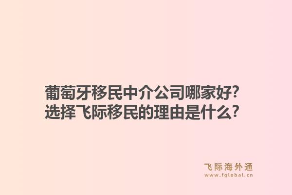 葡萄牙移民中介公司哪家好？选择飞际移民的理由是什么？1.jpg