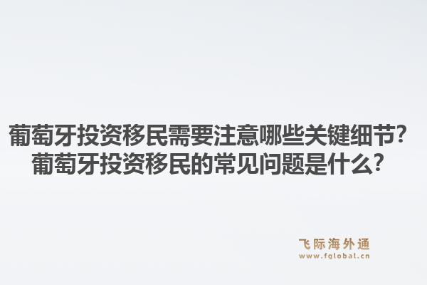 葡萄牙投资移民需要注意哪些关键细节？葡萄牙投资移民的常见问题是什么？1.jpg