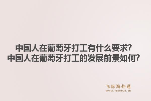 中国人在葡萄牙打工有什么要求？中国人在葡萄牙打工的发展前景如何？1.jpg