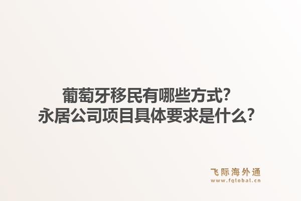 葡萄牙移民有哪些方式?永居公司项目具体要求是什么?1.jpg