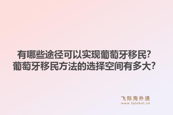 有哪些途径可以实现葡萄牙移民？葡萄牙移民方法的选择空间有多大？1.jpg
