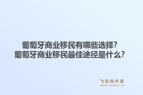 葡萄牙商业移民有哪些选择?葡萄牙商业移民最佳途径是什么?1.jpg