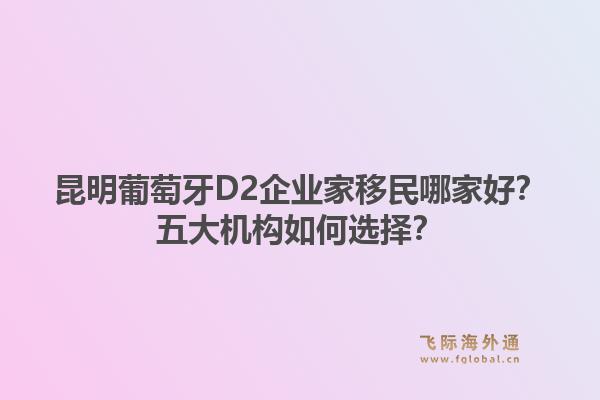昆明葡萄牙D2企业家移民哪家好？五大机构如何选择？