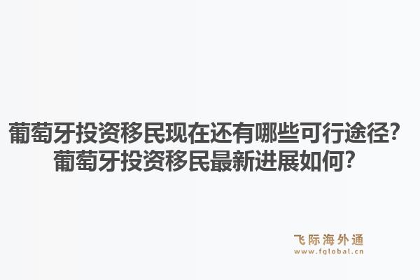 葡萄牙投资移民现在还有哪些可行途径？葡萄牙投资移民最新进展如何？