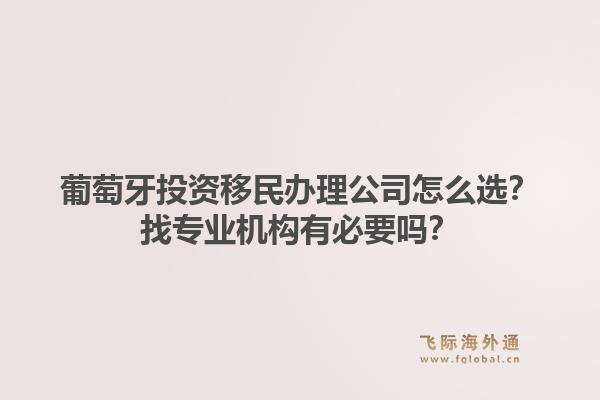 葡萄牙投资移民办理公司怎么选？找专业机构有必要吗？1.jpg