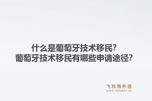 什么是葡萄牙技术移民?葡萄牙技术移民有哪些申请途径?1.jpg