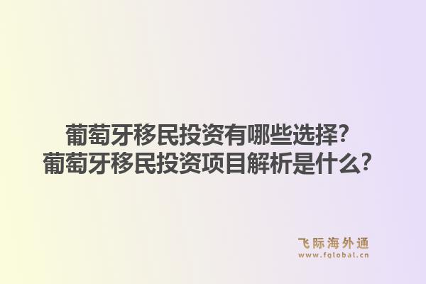 葡萄牙移民投资有哪些选择?葡萄牙移民投资项目解析是什么?1.jpg