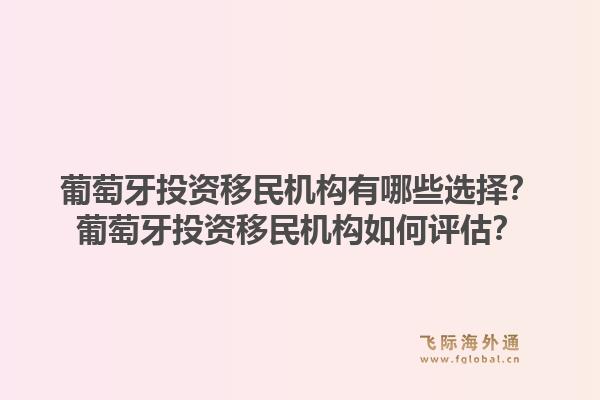 葡萄牙投资移民机构有哪些选择?葡萄牙投资移民机构如何评估?1.jpg