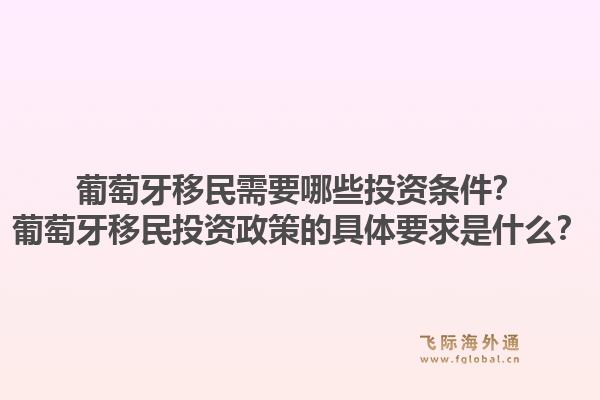 葡萄牙移民需要哪些投资条件?葡萄牙移民投资政策的具体要求是什么?1.jpg