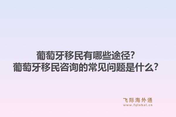 葡萄牙移民有哪些途径?葡萄牙移民咨询的常见问题是什么?1.jpg