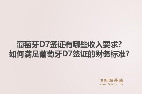 葡萄牙D7签证有哪些收入要求？如何满足葡萄牙D7签证的财务标准？