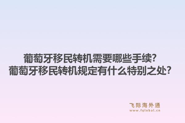 葡萄牙移民转机需要哪些手续？葡萄牙移民转机规定有什么特别之处？