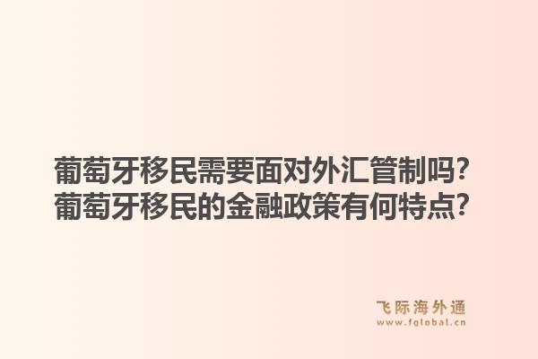 葡萄牙移民需要面对外汇管制吗？葡萄牙移民的金融政策有何特点？1.jpg