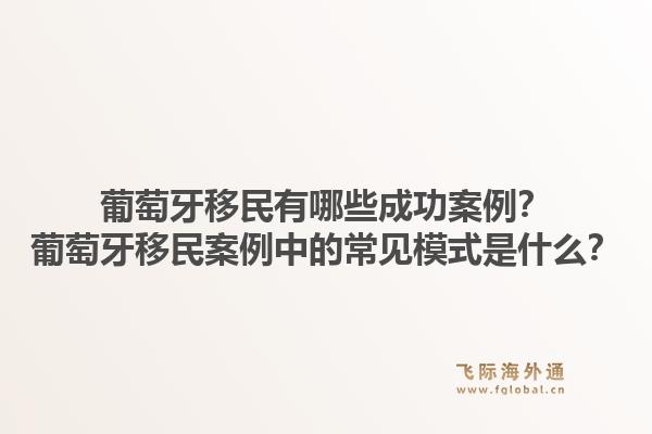 葡萄牙移民有哪些成功案例？葡萄牙移民案例中的常见模式是什么？1.jpg