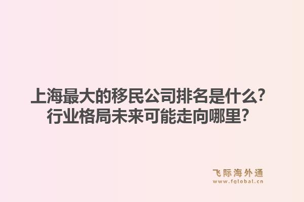 上海最大的移民公司排名是什么？行业格局未来可能走向哪里？1.jpg