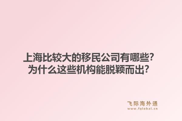 上海比较大的移民公司有哪些？为什么这些机构能脱颖而出？