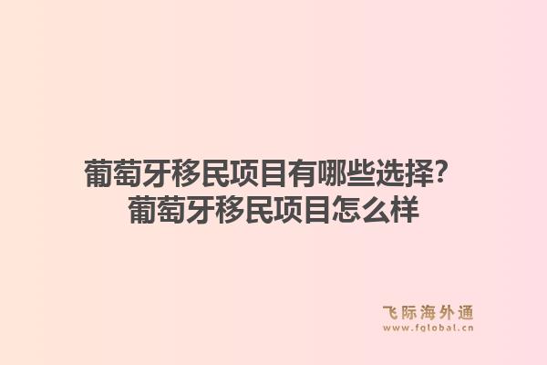 葡萄牙移民项目有哪些选择？葡萄牙移民项目怎么样1.jpg