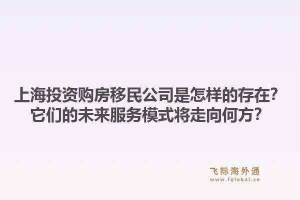 上海投资购房移民公司是怎样的存在?它们的未来服务模式将走向何方?1.jpg